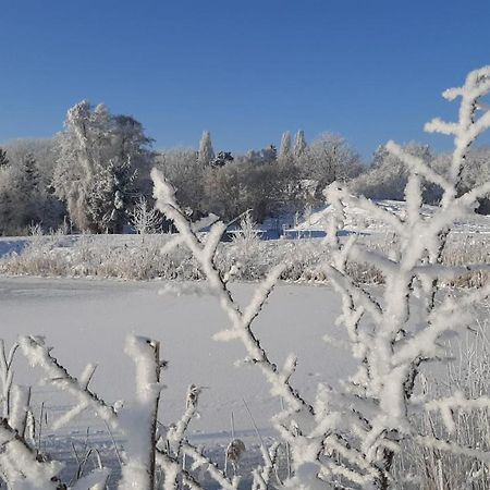 Orzechowy Dworek Nowy Dwór Gdański 외부 사진