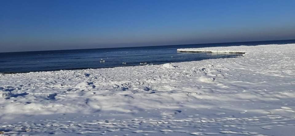 Orzechowy Dworek Nowy Dwór Gdański 외부 사진